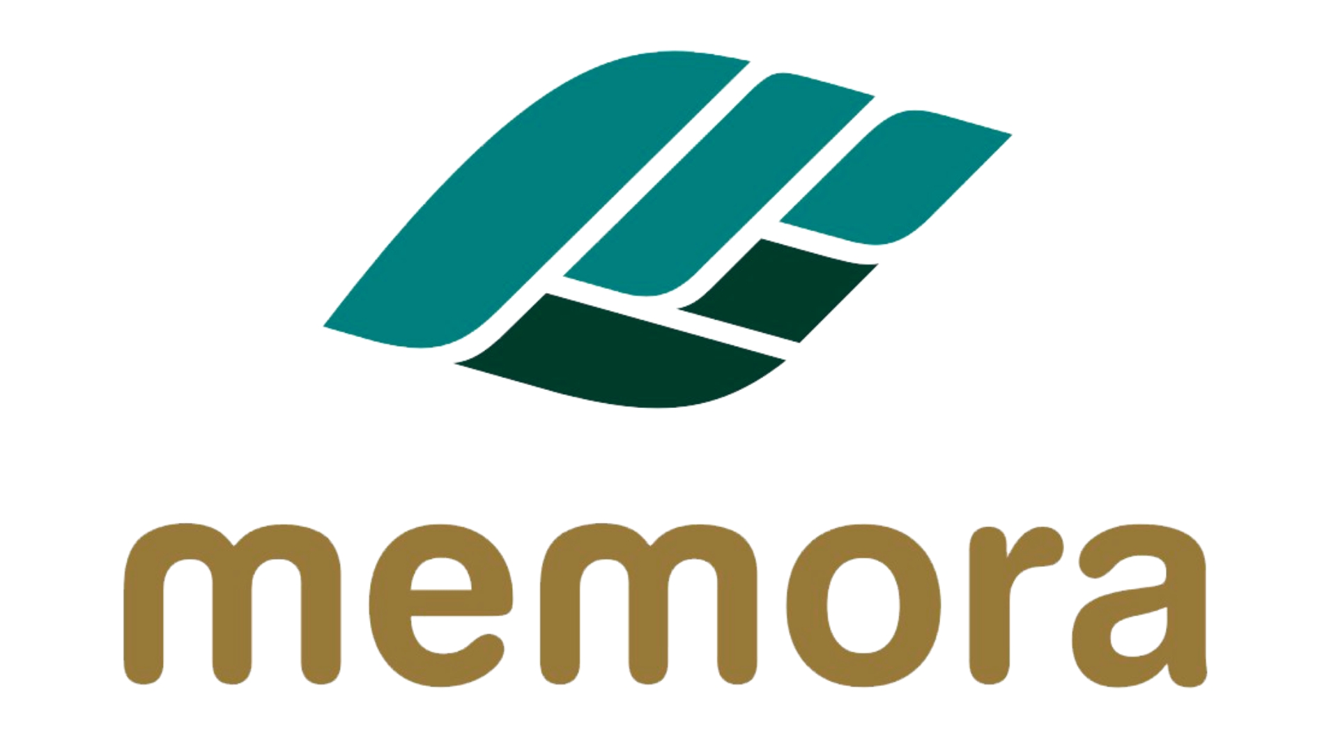 MEMORA PROCESSOS INOVADORES S.A.